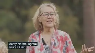 &laquo;bara&raquo; Джуди Уотсон