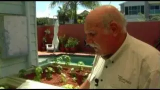Murray Hallam's Aquaponics Secrets DVD - Introducing Fingerlings
