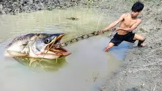 Primitive Technology River Snake Hand Fish Catch With Jungle Hen➡️ Understand Hook Fishing Video