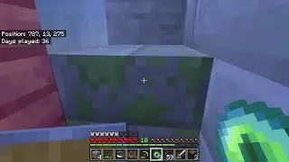We go back to a village [ Minecraft ] (30)