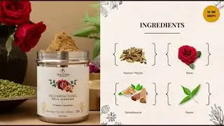 THE TRIBE CONCEPT TIN PRODUCT