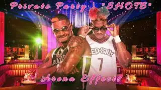 [AEW] Private Party Theme Arena Effects | 