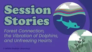 Dolphin Vibrations, Heart Healing & Forest Connection: Beyond Quantum Healing Session (QHHT and BQH)