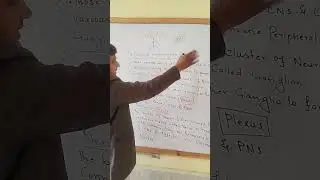 Class 12 biology chapter 4 Peripheral Nervous system part 1#class12biology#scienceexplained #foryou 