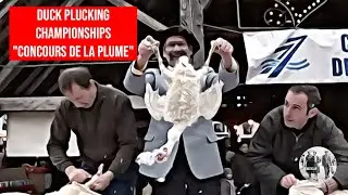 Duck Plucking Championships -Concours de la Plume