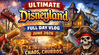 We Didn’t Expect Disneyland to Be This Intense