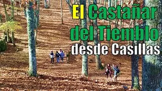 Una ruta de senderismo para disfrutar con todos los sentidos. Castañar del Tiemblo desde Casillas.