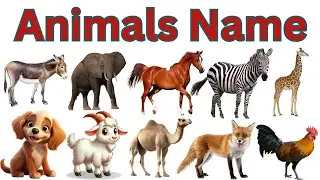animals name in english and urdu | animals | name of animals | kids education| anas ka channel