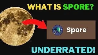 Spore Update! $SPORE runs on Binance Smart Chain and Avalanche and is still extremely underrated!