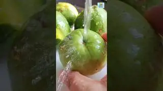 Guava juice Recipe 👌😋|| #shorts #treanding  #ytshorts #guavajuice #juice #viral #kitchensinfinity