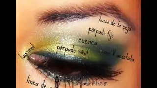 Como aplicar las sombras en cada zona del ojo