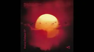 Nicolas Leonelli, Anhauser - Analog Collapse (Original Mix) [Transensations Records]