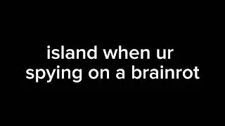 HERES SOME INFO ON SPY ON A BRAINROT 