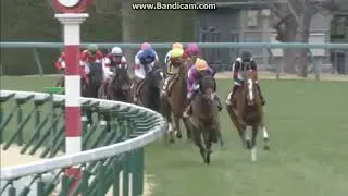 2018 チューリップ賞 (GII)　ラッキーライラック