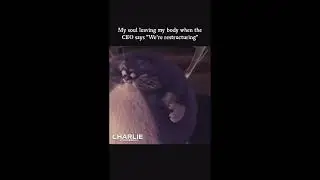 CHARLIE THE WONDERDOG 