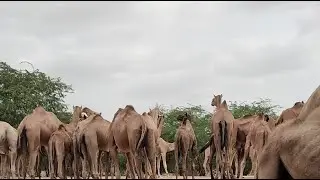 Next To Nature is live!