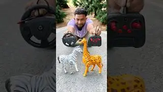 New Remote Control Zebra Vs Giraffe Testing and Unboxing 😱