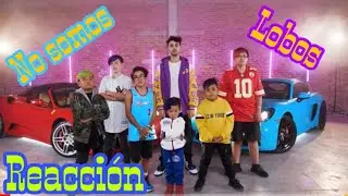 NO SOMOS LOBOS  ( REACCION)