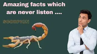 Animal Facts Official