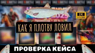 Как я на Case Battle плотву ловил! Проверка кейса! НОВЫЕ КЕЙСЫ 2025! #casebattle#eazy1620#twitch#cs2