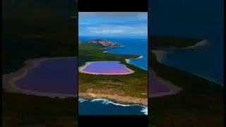 Why is Lake Hillier Pink? #science #facts #shorts
