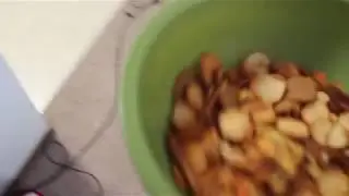 How 2 throw a birthday party