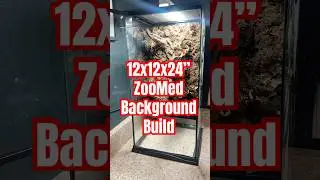 12x12x24&rdquo; ZooMed Background #paludarium #reptiles #bioactive #plantedtank #livingvivarium #terrarium