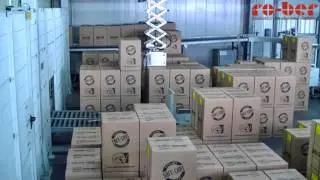 Gantry Palletiser with Buffer for Low Throughputs - RAUPACK UK and Ireland
