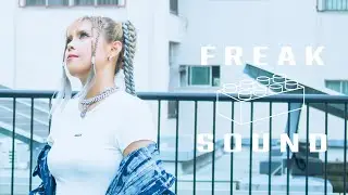 BEE - FLY HIGH / FREAK SOUND CENTRAL