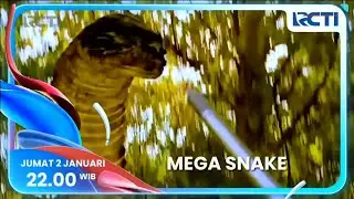 Box Office RCTI 