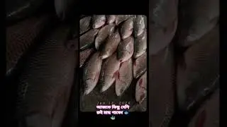good morning friends 🐟#seafoodprep #paisayenyasathiupay #seafoodrecipes#seafooddishes #fish #seafood