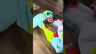 BOP IT! Extreme Electronic Game Review - Fun Party Game for Kids