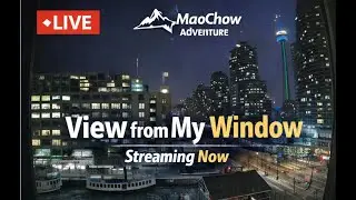 Toronto Window Cam LIVE HD | MaoChow Adventure 1st Feb 2026