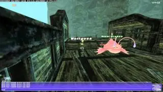 FFXI Assault Searat Salvation (Corporal) uncapped