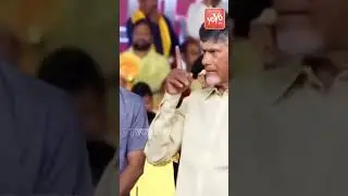 రెండు రాష్ట్రాలు కలిసిఉండాలని కోరింది టీడీపీ పార్టీనే | Chandrababu Naidu | YOYO TV Channel