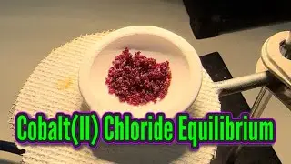 Равновесие гексагидрата хлорида кобальта (II) в RamZland!⚗️ CoCl2&bull;6H2O ⇌ CoCl2+6H2O #STEM #RamZland