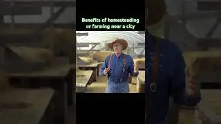 Benefits of Farming Near a City #farming #homesteading #joelsalatin #agriculture #farmersmarket