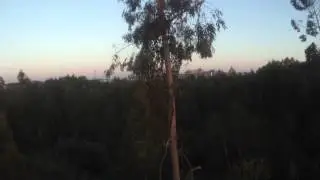 Good Luck Buy cheap gimbal with Boscam HD19