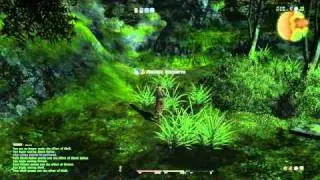 Deep woods exploration, Gredania Region