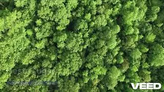 Neste Lugar (Autoral) - Mar&iacute;lia Campos