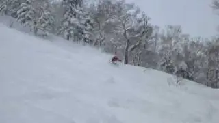 Hokkaido Powder Guides, Hokkaido Skiing