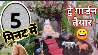 5 min में Tray Garden कैसे बनाऐं/ Tray Garden Ideas/ Tray Garden with Jade Plant
