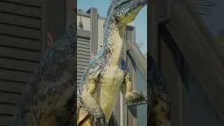 Allosaurus vs Megaraptor. #dinosaur #dinofight #allosaurus #megaraptor #jurassicworldevolution2