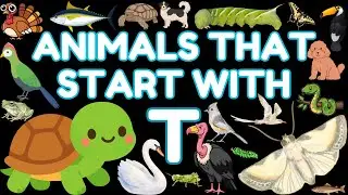 57 Animals That Start With the Letter T | Learn Animal Names for Kids | Eager Minds Academy