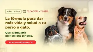 Taller Online