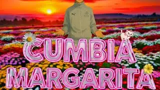 Cumbia MARGARITA🌼 Los &uacute;nicos TMH music