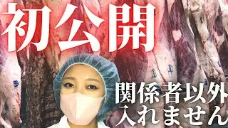 【松阪牛】仕入れの裏側見せちゃいます