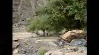 Snake Gorge - flash flood