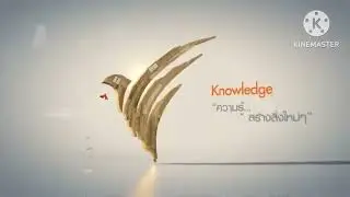 Wood Knowledge ID|Memoguy