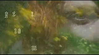 pierre - Yellow (Official Music Video)